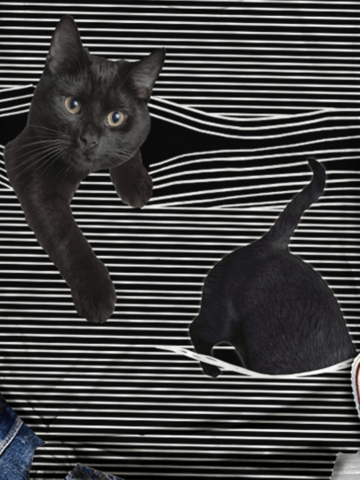 Cat Pattern Short Sleeve Striped T-shirt