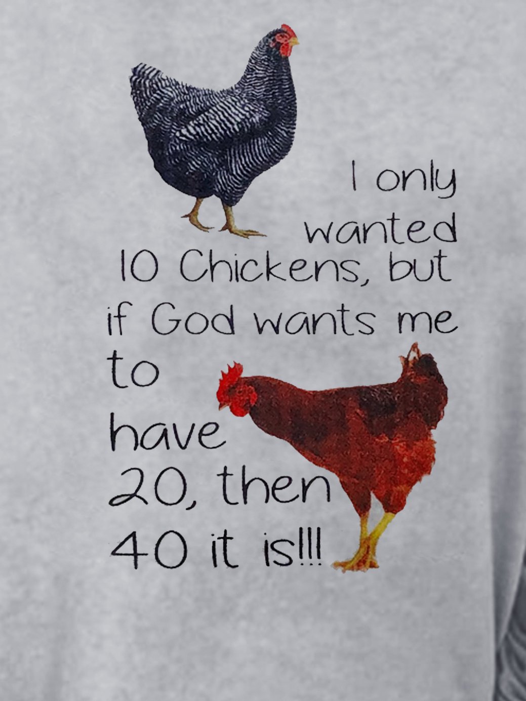 I Only Wanted 10 Chickens Sweatshirt