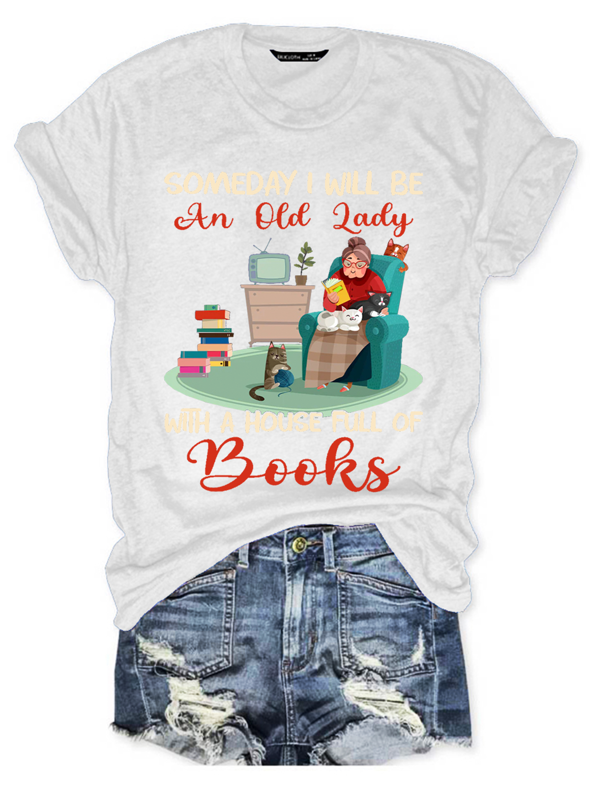 Someday I Will Be An Old Lady With A House Full Of Books Book Lovers Gift Women's V-neck T-shirt