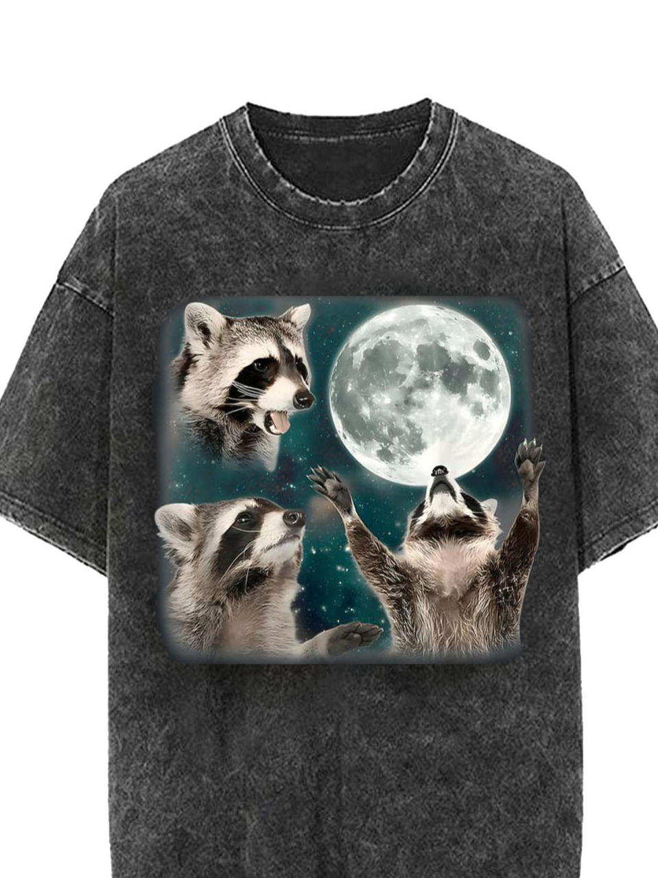 Raccoon printed washed T-shirt