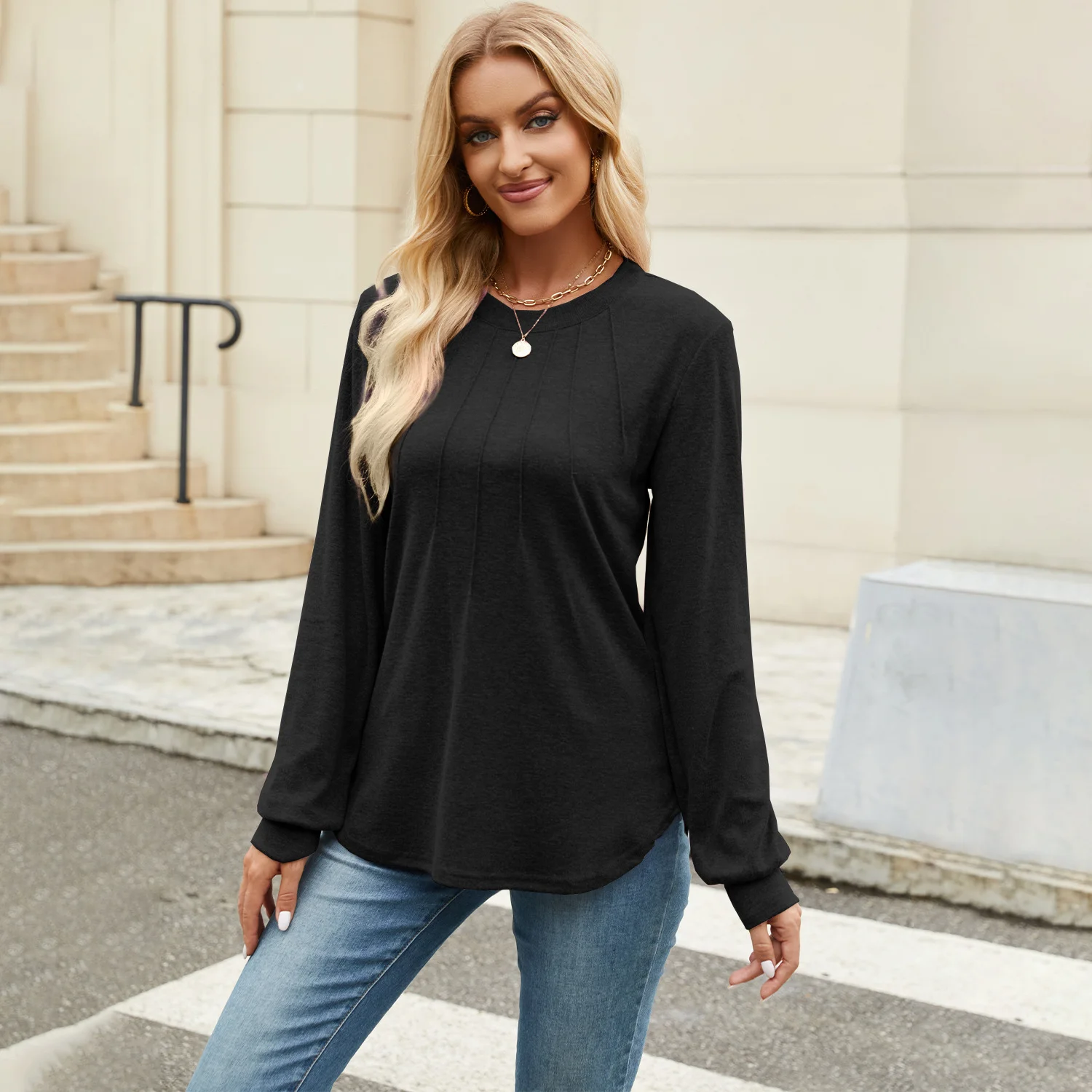 Women's Long Sleeve Blouse Spring/Fall Black Plain Crew Neck Daily Going Out Casual Top