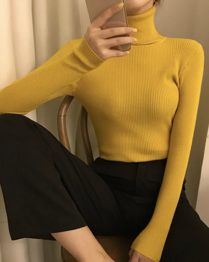 Casual Plain Regular Fit Mock Neck Sweater