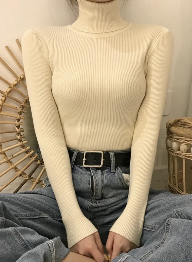 Casual Plain Regular Fit Mock Neck Sweater