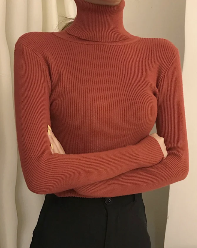 Casual Plain Regular Fit Mock Neck Sweater