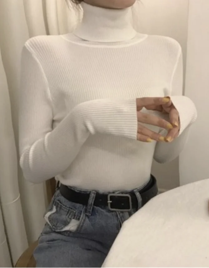 Casual Plain Regular Fit Mock Neck Sweater