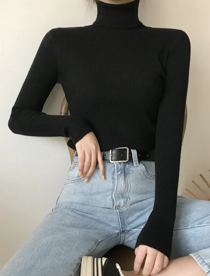 Casual Plain Regular Fit Mock Neck Sweater