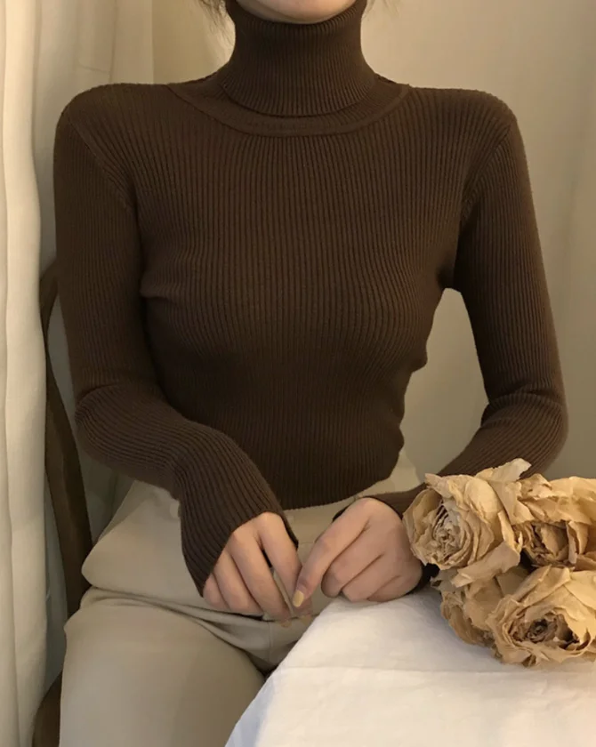 Casual Plain Regular Fit Mock Neck Sweater