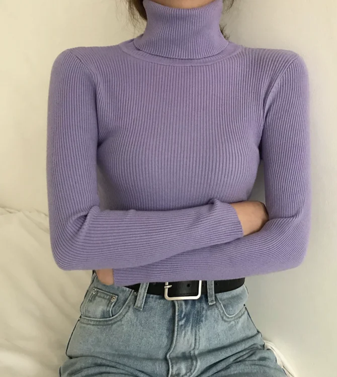 Casual Plain Regular Fit Mock Neck Sweater