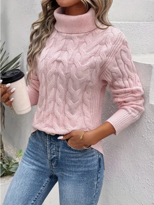 Casual Regular Fit Plain Sweater