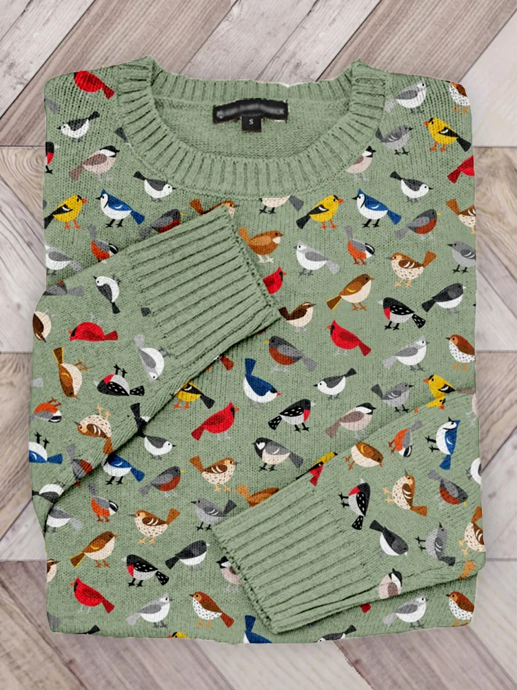 Cute bird round neck knitted sweater