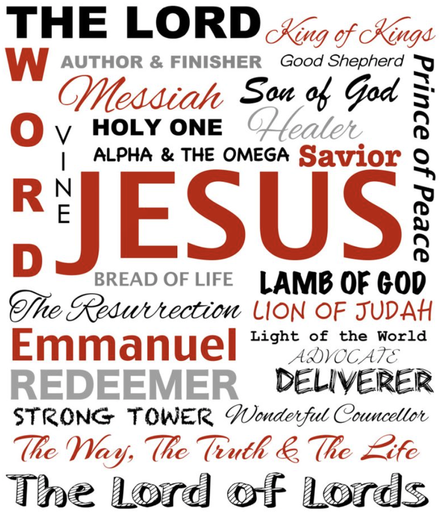 Women's Faith Trust in Jesus Printed Long Ribbed Top