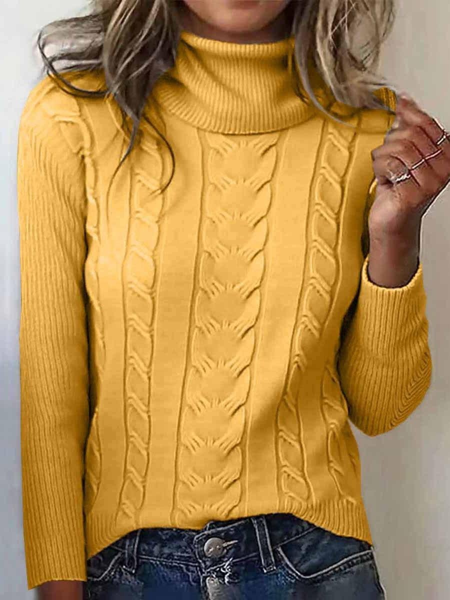 Turtleneck Casual Regular Fit Sweater