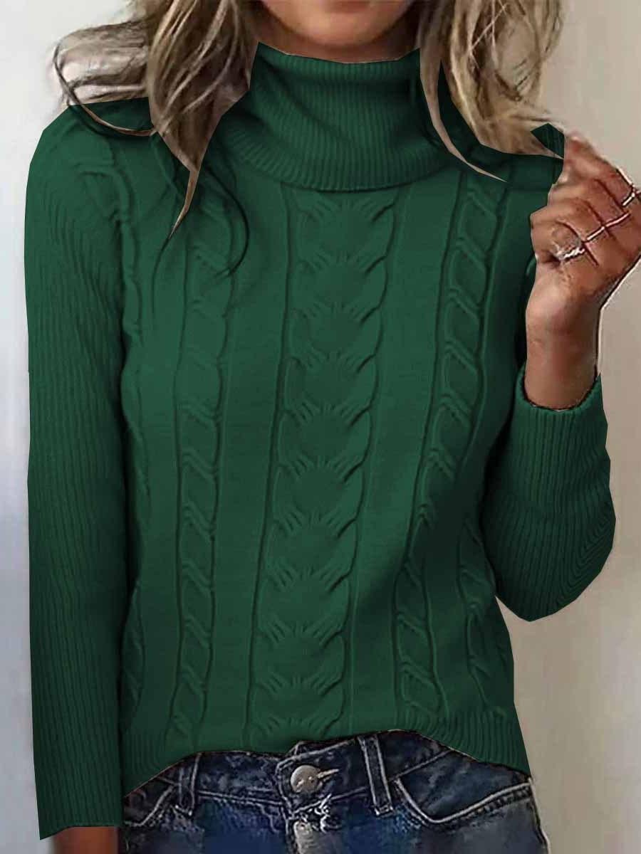 Turtleneck Casual Regular Fit Sweater