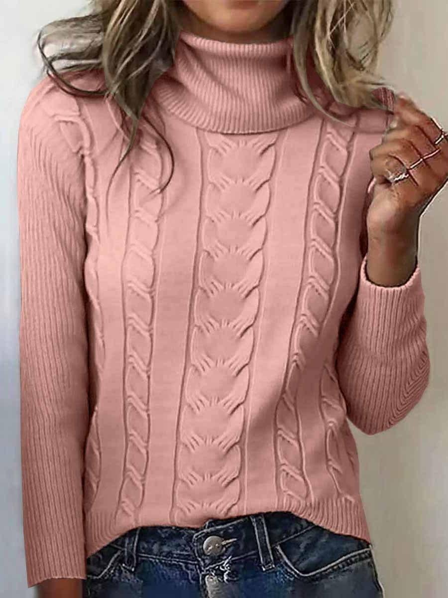 Turtleneck Casual Regular Fit Sweater