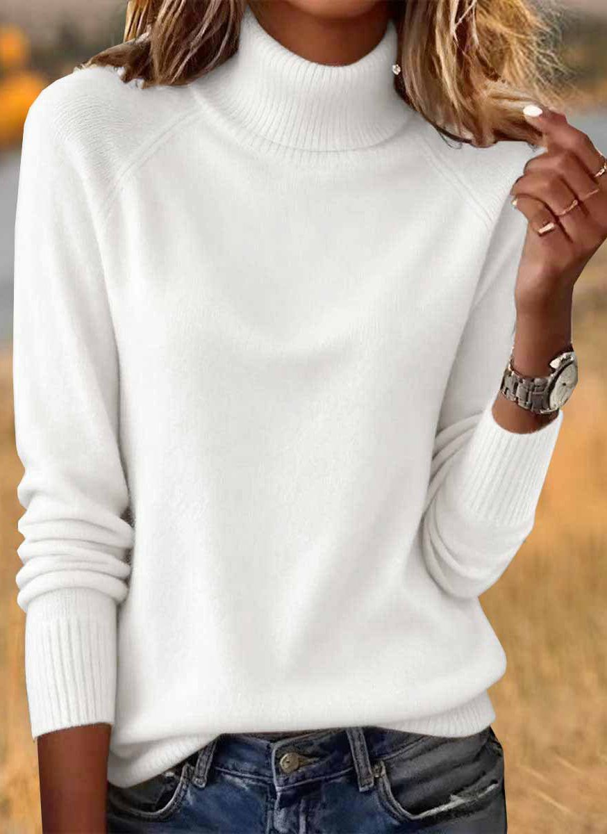 Casual Turtleneck Sweater