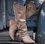 zolucky Daily Hollow-Out Spring/fall Boots