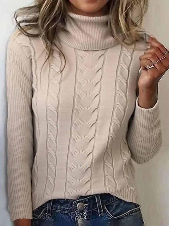 Turtleneck Casual Regular Fit Sweater