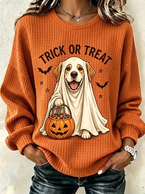 Halloween Dog Fun Graphic Casual Sweatshirt