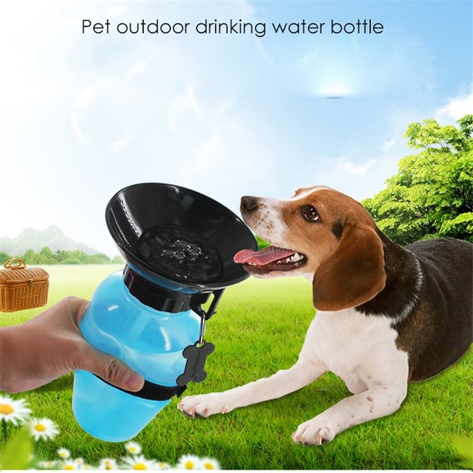 Outdoor Pet Drinking Bottle