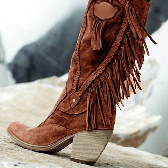 Aueoeo Mid Calf Fringe Boots For Women Cowboy Pointed Toe Chunky Heels Winter Spring Western Rivets Tassel Boots Brown
