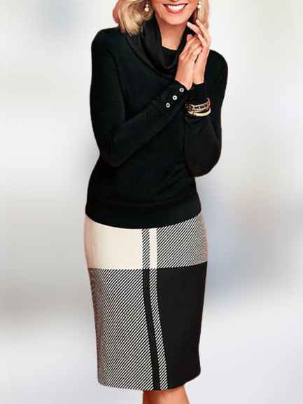 Casual Regular Fit Turtleneck Dress