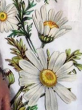 Plus Size Loose Casual White Floral Others Blouse