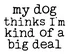 My Dog Thinks I'M Kind Of A Big Deal  Women's Short Sleeve Top