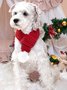 Christmas Pet Dogs Cats Handmade Crochet Pom Poms Red Scarf Holiday Party Pet Decorations Xmas Decoration