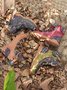 Ethnic Pattern Patchwork Outdoor Boots