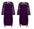 Mesh Regular Fit Plain Casual Dress