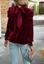 Loose Velvet Casual Plain Blouse