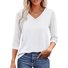 Regular Fit V Neck Casual T-Shirt